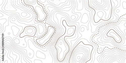 topographic line contour map background, Topographic map and landscape terrain texture grid.Topography background. Vector banner. Topo,
