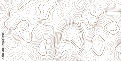 Seamless Light topographic topo contour map background, vector illustration .Topography Wavy Lines Pattern Modern Wide Abstraction.