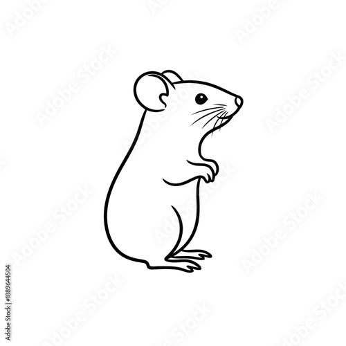 Cute mouse standing on hind legs