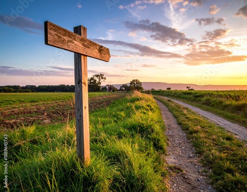 wooden signpost near a path