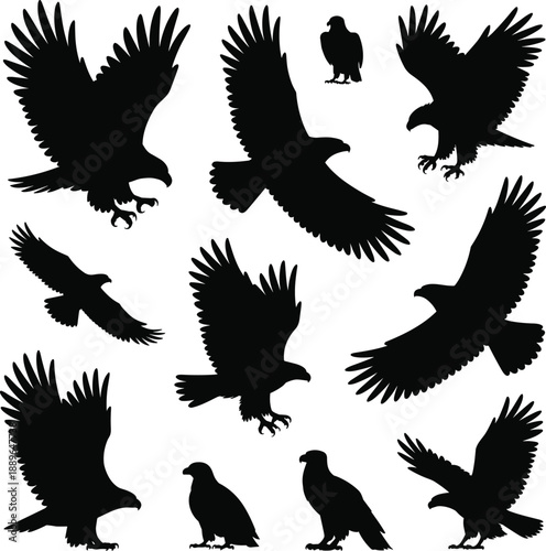 Eagle silhouette collection featuring flying landing standing poses, powerful bird of prey vector icons set isolated on white background