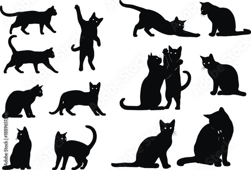 Black cat silhouette collection in playful, sitting, walking, stretching poses, emphasizing interaction, posture, and pet behavior themes