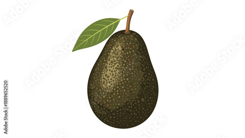 Whole dark green avocado with a bumpy skin and a single leaf attached to its stem, illustrated as a healthy fruit for dietary themes.