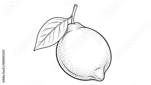 Detailed etching style illustration of a whole lemon with a leaf featuring fine stippling and line work for a classic vintage look.