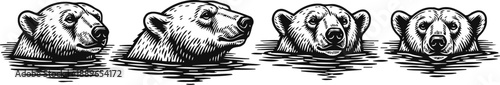 black and white bear head illustrations wild animal sketches in profile and frontal views with detailed fur texture