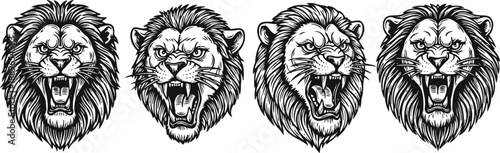 Set of four roaring lion heads in black and white fierce lion face with detailed mane and sharp teeth wild animal of strength and power