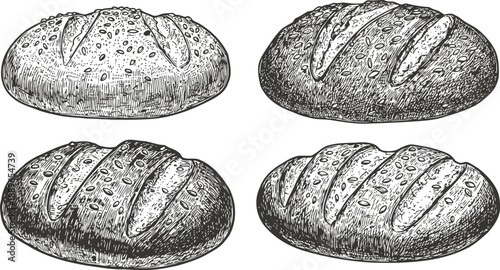 Rustic bread loaves with crusty texture and natural grains four hand drawn illustrations of artisan bread