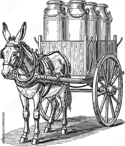 Vintage donkey cart carrying metal milk churns for dairy transportation and delivery
