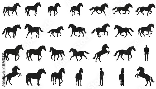 Collection of horse silhouettes in various poses and actions, with human figures for scale, showcasing dynamic movement and elegance.