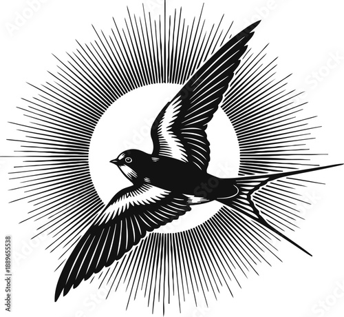Swallow bird in flight with radiant sunburst background, black and white vintage illustration