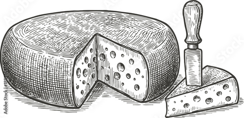 Whole round cheese with slice cut and knife, detailed vintage engraved dairy illustration
