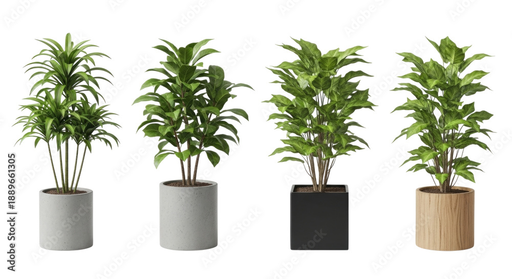 Obraz premium 3d potted plants collection isolated transparent bg, cutout png