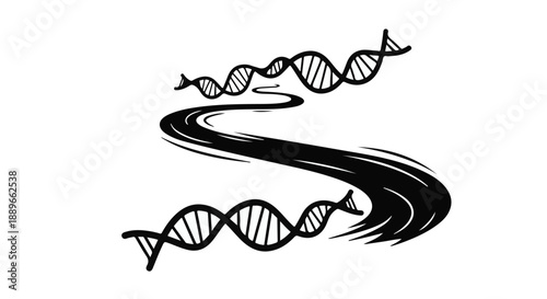 A winding road of DNA represents the journey of genetic discovery and evolution.