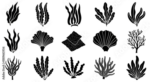 Seaweed Silhouette Vector Set: Underwater Plants and Marine Flora Shapes