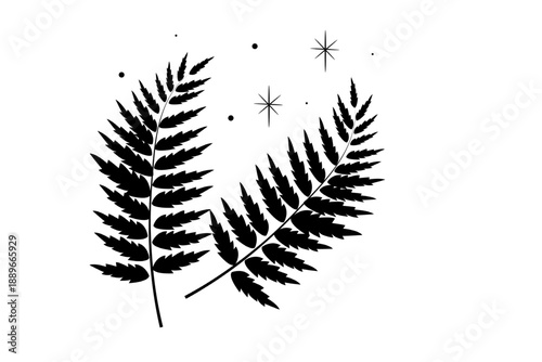 Elegant fern silhouettes with stars