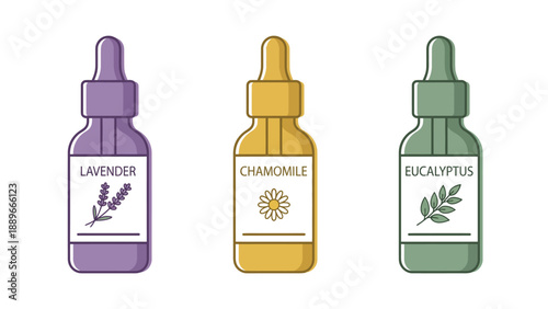 Three colorful dropper bottles containing lavender, chamomile, and eucalyptus essential oils, depicted in a clean vector illustration style.