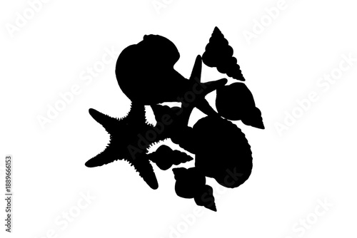 Collection of seashell silhouettes