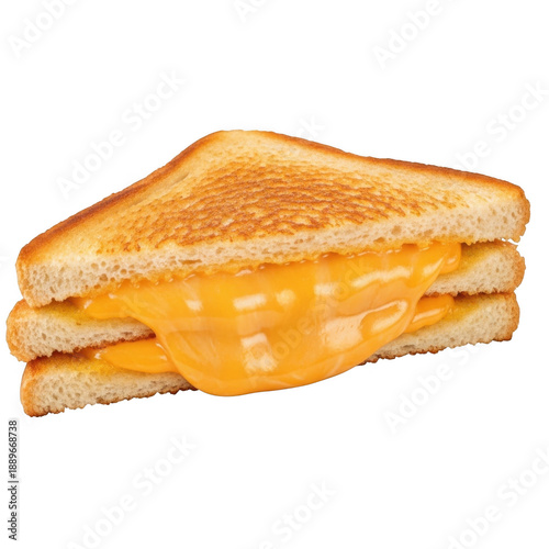 Delicious grilled cheese sandwich
