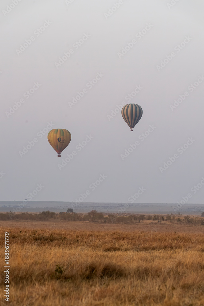 Obraz premium A group of hot-air ballons raising for their morning rides on the early morning with the beautiful sunrise colours in the background inside Masai Mara National Reserve during a wildlife safari