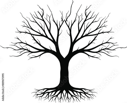 Bare tree silhouette illustration, leafless branches and roots design, black nature vector, winter tree symbol, isolated white background art