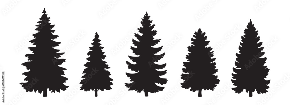 Fototapeta premium Set of five various black silhouetted evergreen fir trees isolated on white background for design element