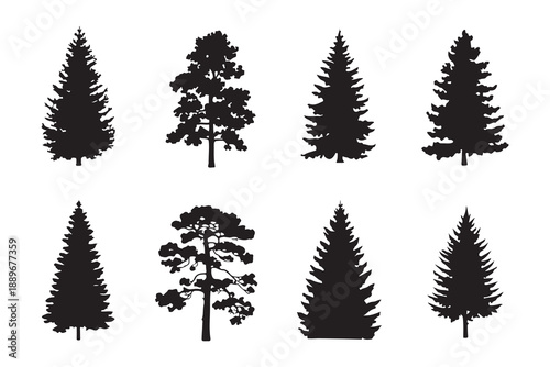 Set of silhouette evergreen trees and pine trees for winter forest natural landscape design elements