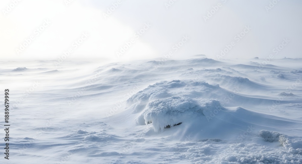 Obraz premium Vast snowy landscape with powerful wind gusts creating a harsh environment, illustrating the severe wind chill factor concept