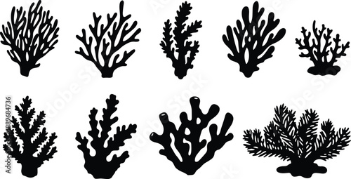 Coral silhouette collection, marine shapes, black reef forms, ocean life, underwater, nature, graphic, isolated, white background, sea, biodiversity, stylized, decorative, aquatic, biology,