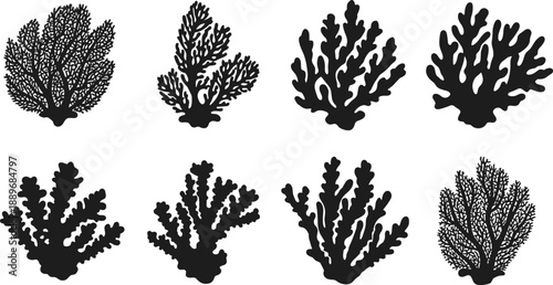 Coral silhouette set, black vector corals, marine shapes, reef illustrations, ocean life icons, underwater design elements