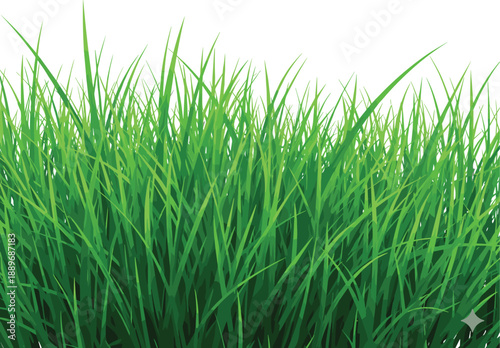 Lush green grass field background illustration representing nature lawn meadow spring growth and fresh environment