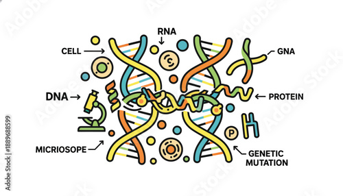 Genetic mutation concept with dna cells and proteins illustrated in colorful educational diagram for science and biology