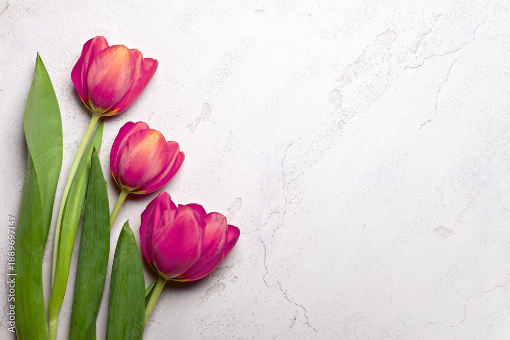 Fototapeta premium Elegant pink tulips arranged on the left over a light marble surface, leaving space for text or design on the right.