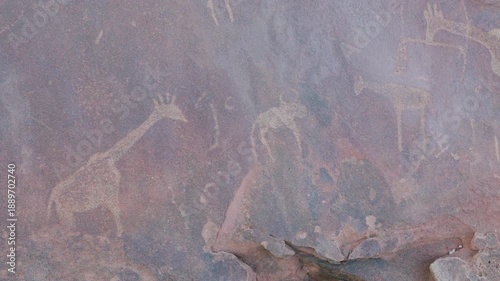 a pan of african petroglyphs of giraffe and wildebeest at twyfelfontein in namibia