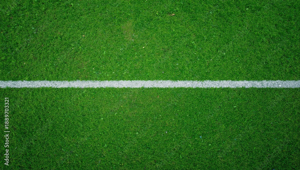 Obraz premium soccer field with white lines