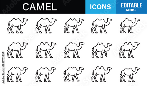 Desert camel outline icons for travel and tourism design