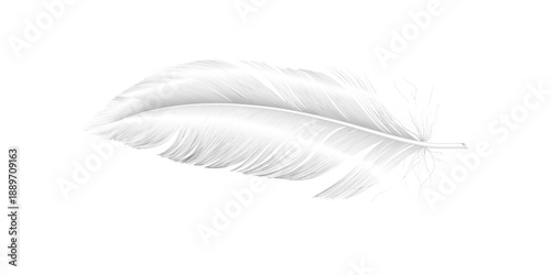 Falling white fluffy twirled goose feather in realistic 3d illustration style with natural softness motion and elegant decorative appeal