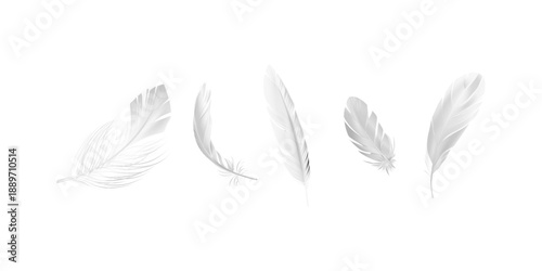 Graceful flying and falling fluffy white feathers from swan dove or angel wings creating elegant realistic motion for fantasy and spiritual designs