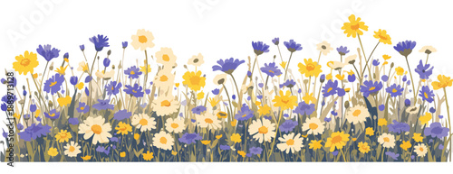 Wiosenny krajobraz z białymi i żółtymi kwiatami oraz niebieskimi chabrami na przezroczystym tle.