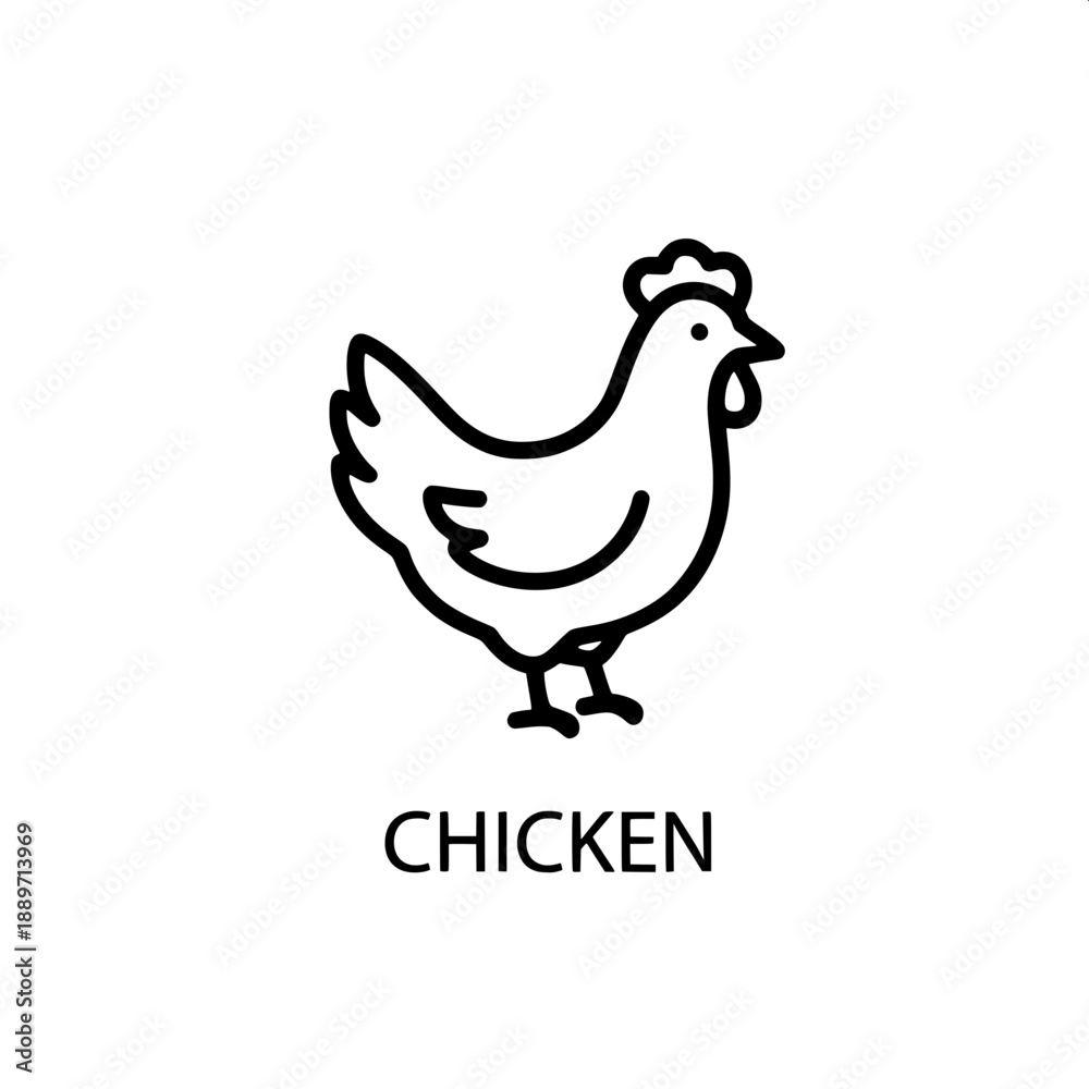 Fototapeta premium Vector outline drawing of a domestic chicken, a clear and simple farm bird icon for various graphic design applications
