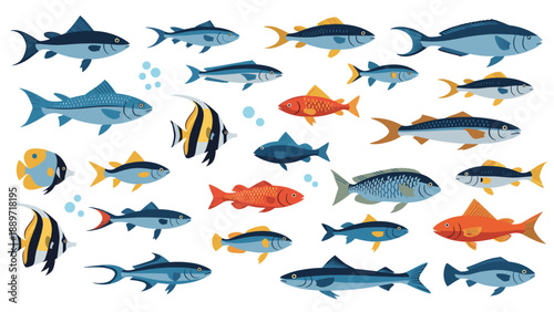 Large collection of various colorful tropical fish illustrations for marine life education and aquarium decorative themes.