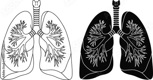 Outline and filled human lungs anatomical illustration