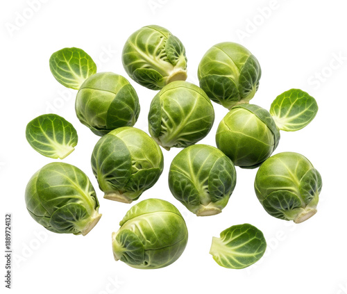 Harvesting fresh brussels sprouts farm food isolated on transparent background