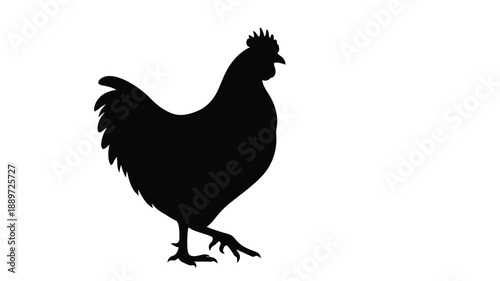 a striking black rooster silhouette against a stark white background