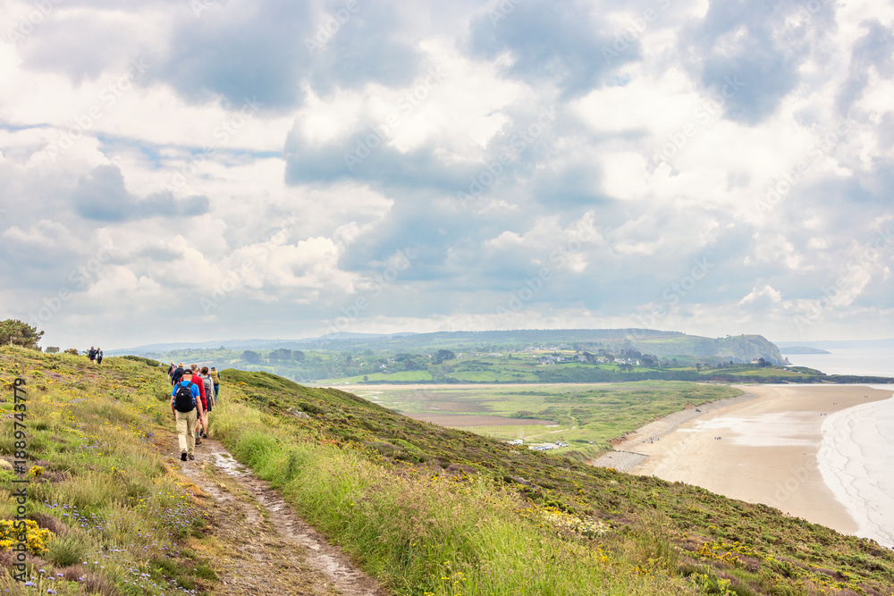 Obraz premium Group of hikers walking on a path in a meadow by the coast