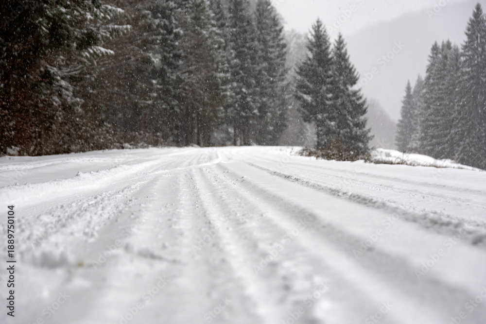 Fototapeta premium A beautiful shot of a road leading through snowy trees