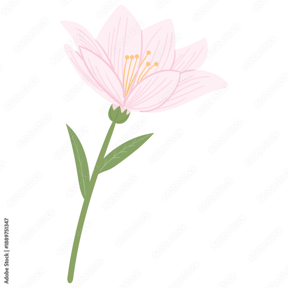 Fototapeta premium Pink Flower and Green Leafs Illustration
