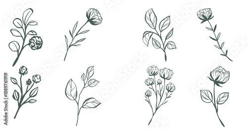 Flower icon set silhouettes, Abstract flower icon