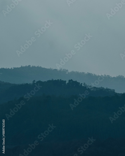 fog in the mountains