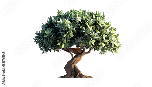 Low Poly Olive Tree Plant Illustration in PNG Format, Isolated on Transparent Background