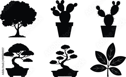 Five Black Silhouette Plants Including Trees And Cactus